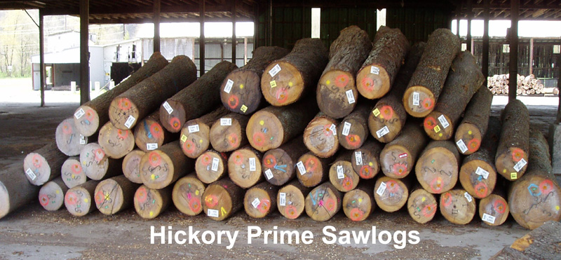 logs for sale